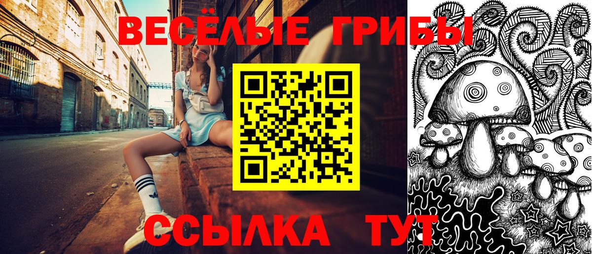 Галлюциногенные грибы MAGIC MUSHROOMS  Вход с VPN  Рассказово 